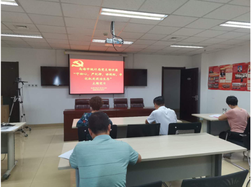 0805市统计局党支部开展