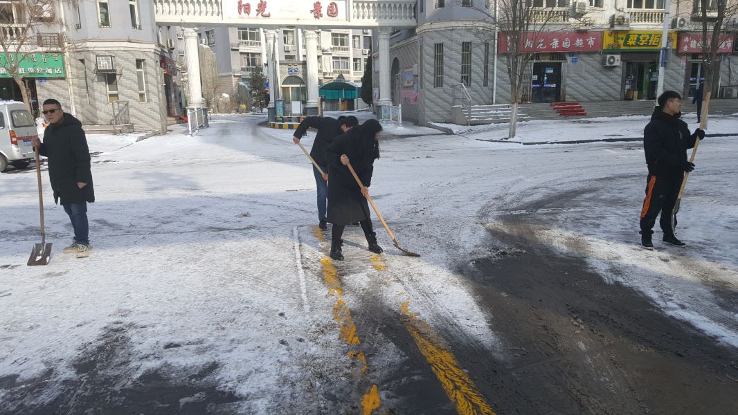 统计局职工清扫责任点积雪 (8)