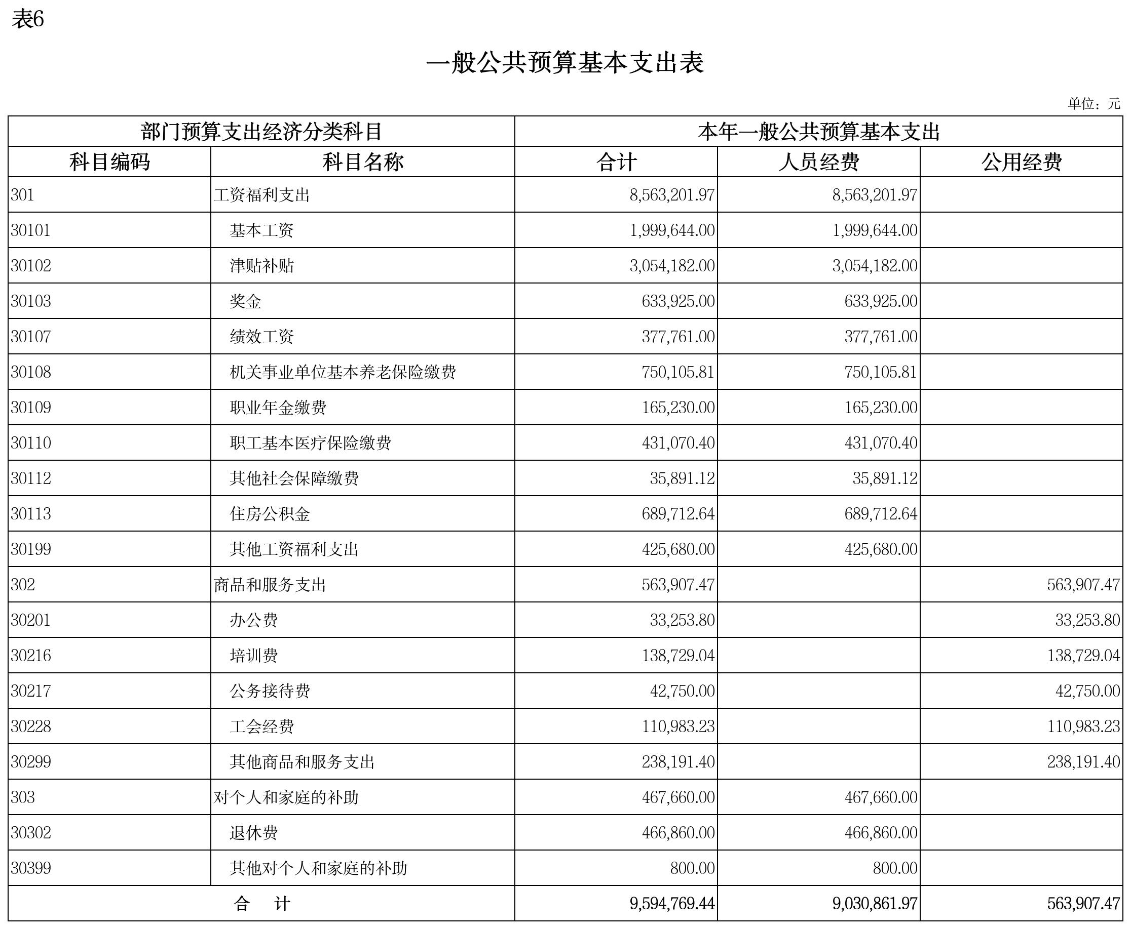 项目绩效目标表(9)_表6-一般公共预算基本支出表